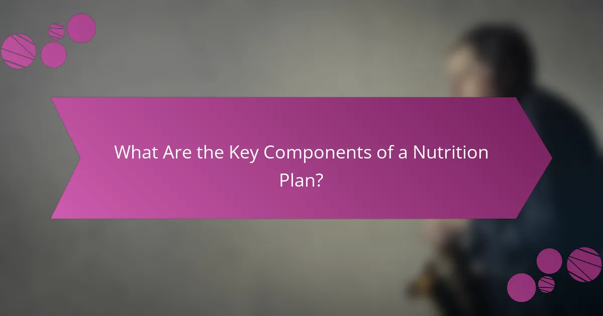 What Are the Key Components of a Nutrition Plan?